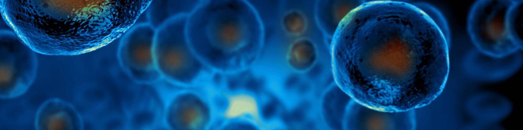 Vials of amniotic fluid and membrane allograft biologic products