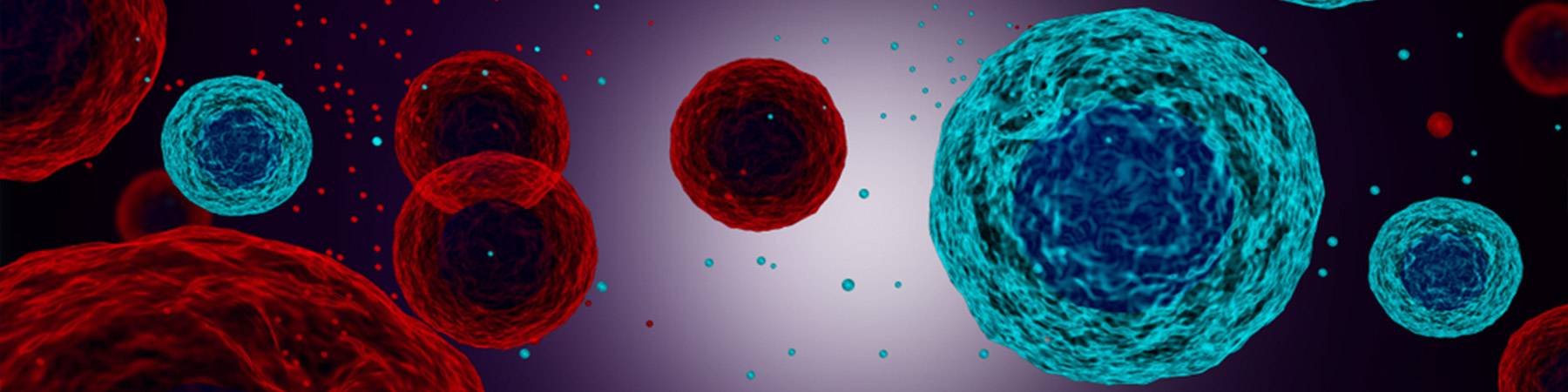 Microscopy visualization of exosome vesicles secreted by MSCs